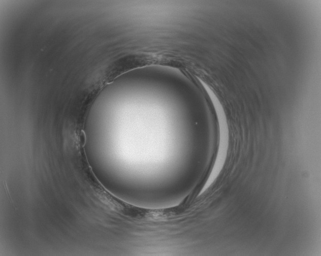 X0000054450613200508121912