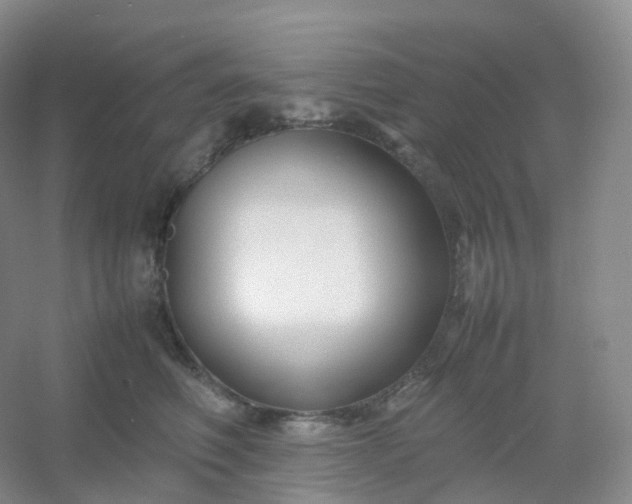 X0000054450614200508121912