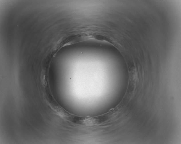 X0000054450615200508121912