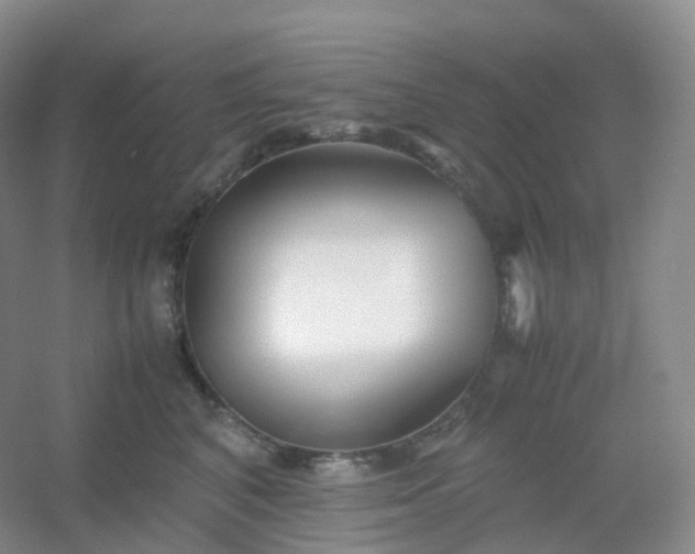X0000054450616200508121912