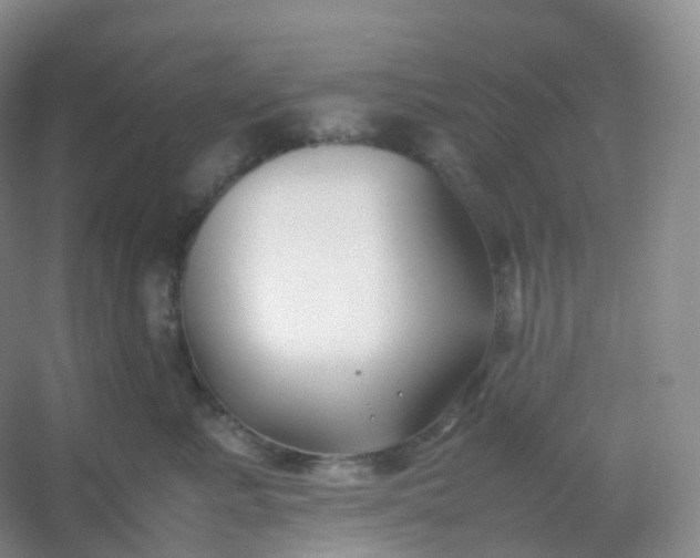 X0000054450619200508121912