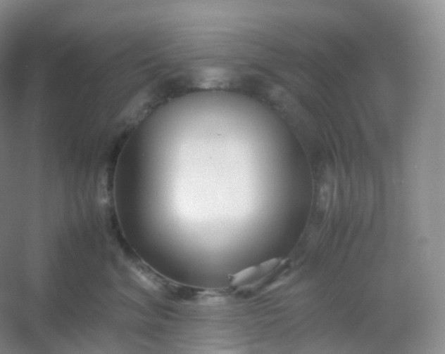 X0000054450620200508121912