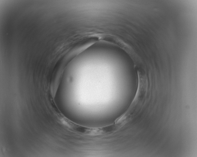 X0000054450621200508121912