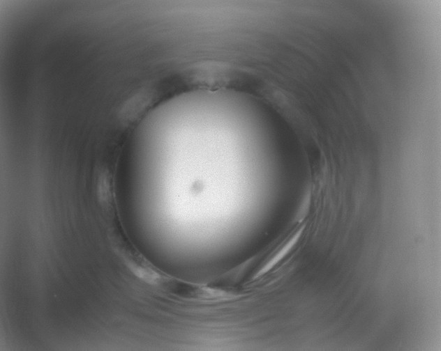 X0000054450623200508121912