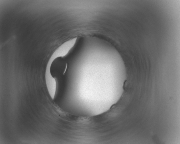 X0000054450624200508121912