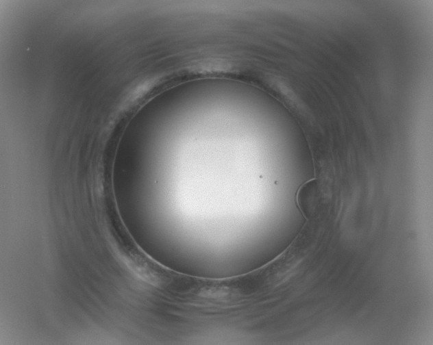 X0000054450631200508121912