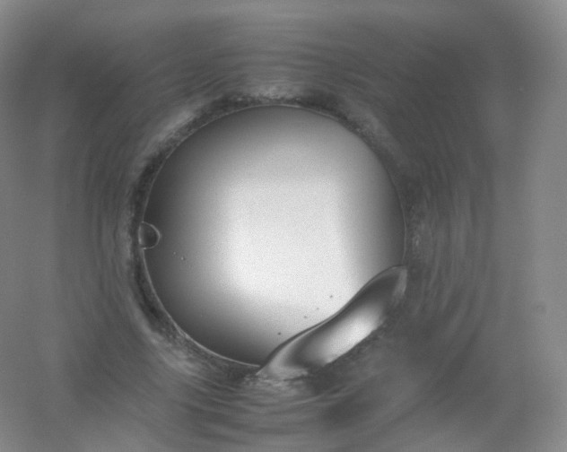 X0000054450635200508121912