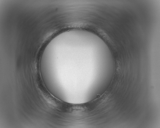 X0000054450636200508121912