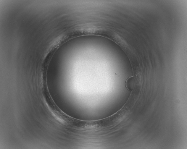 X0000054450638200508121912