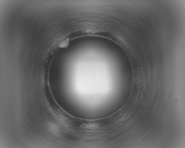 X0000054450639200508121912