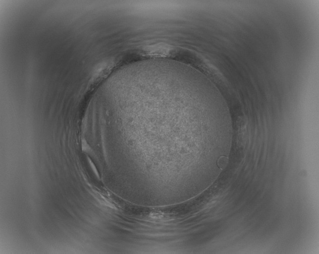 X0000054450641200508121912
