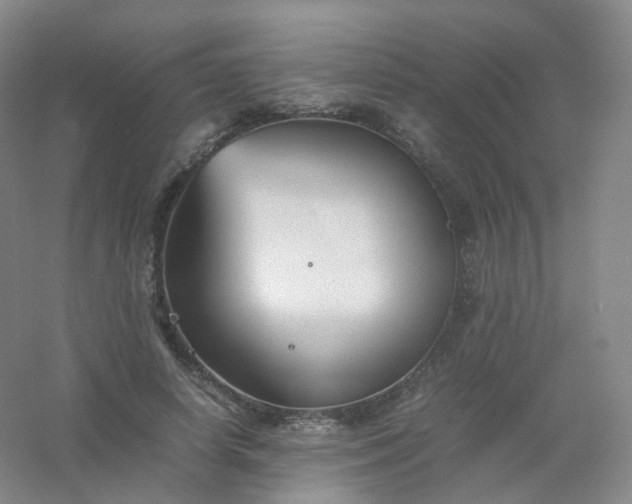 X0000054450642200508121912