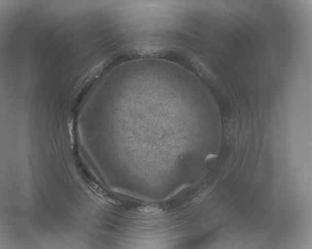 X0000054450644200508121912