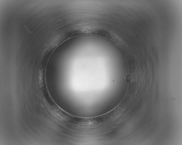 X0000054450646200508121912