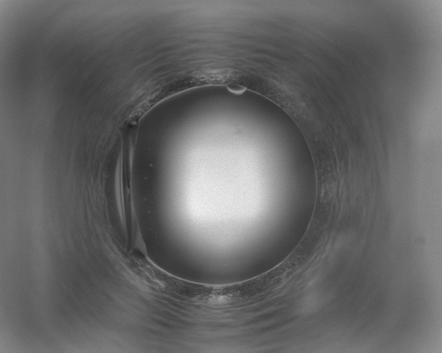 X0000054450647200508121912