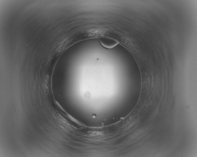 X0000054450649200508121912