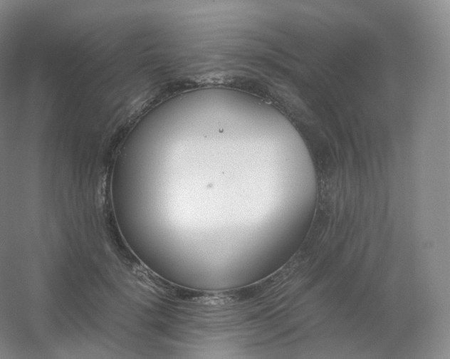 X0000054450652200508121912