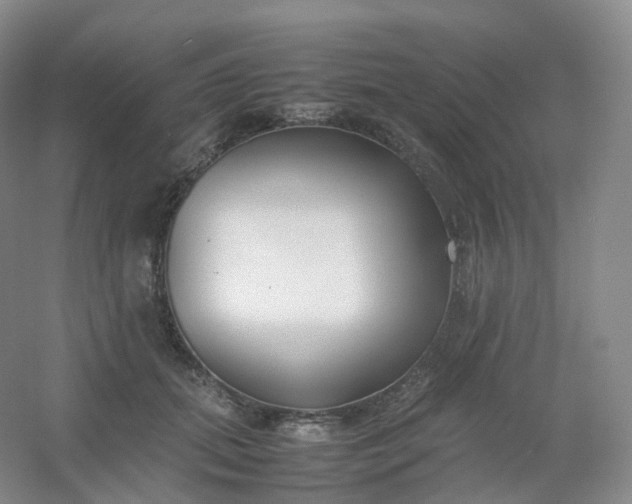 X0000054450655200508121912