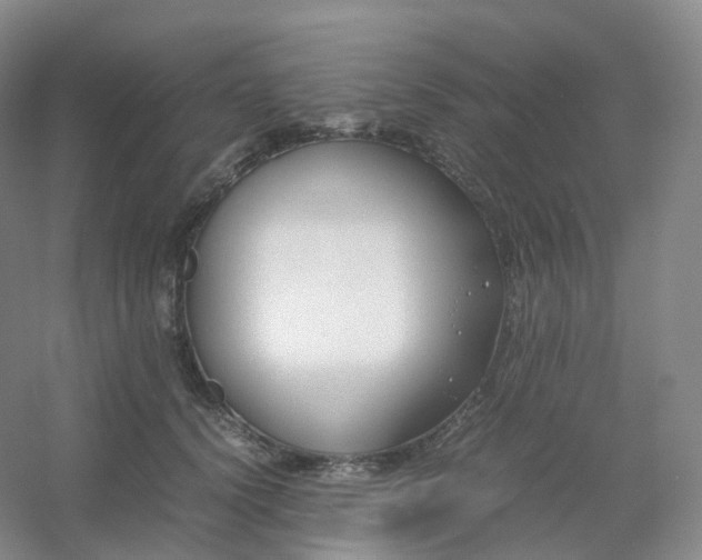 X0000054450656200508121912