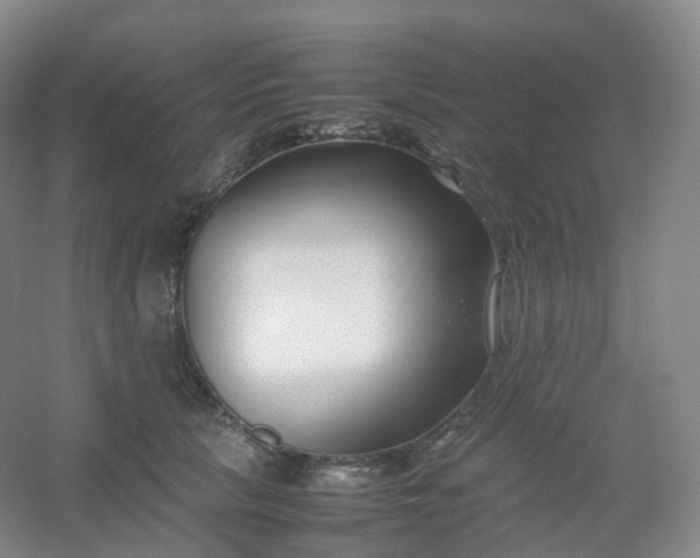 X0000054450657200508121912