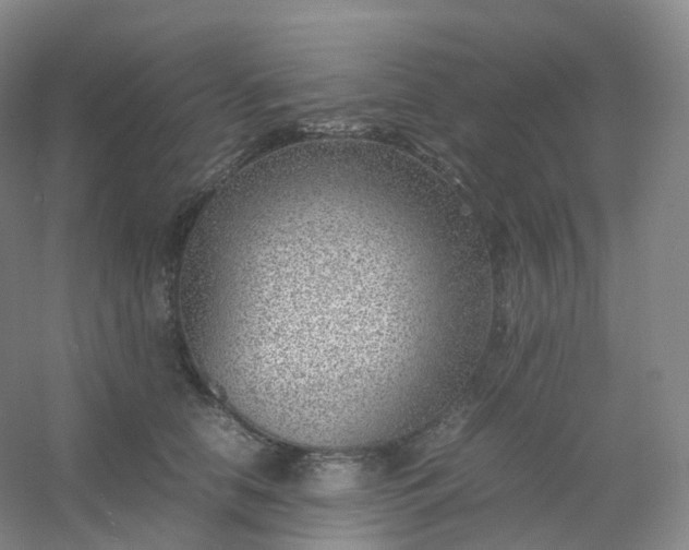 X0000054450658200508121912