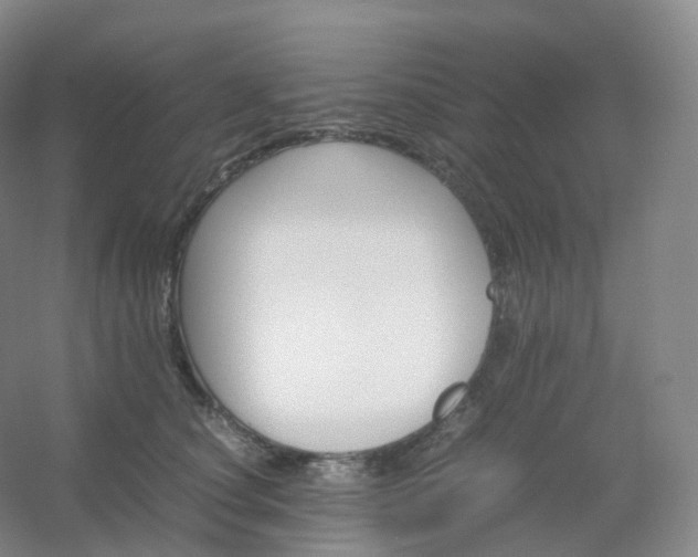 X0000054450660200508121912