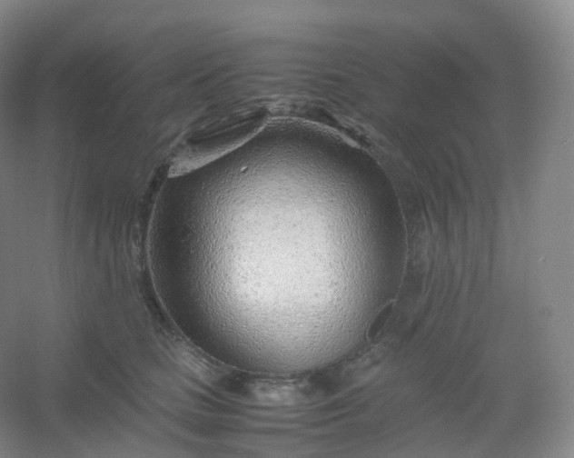 X0000054450661200508121912