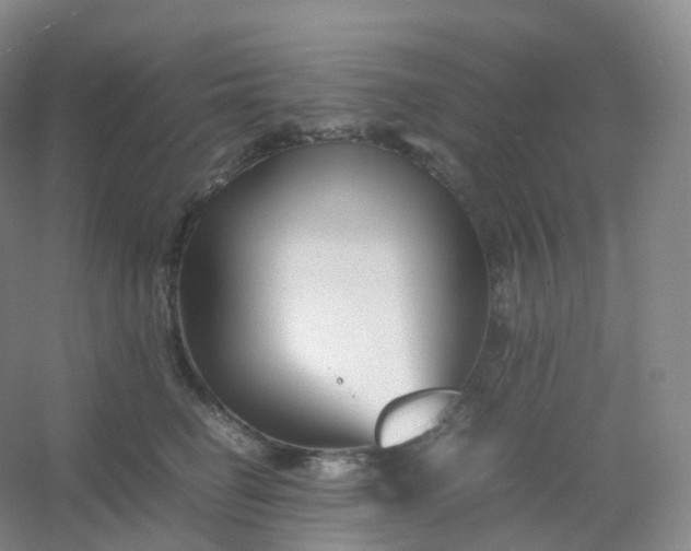 X0000054450662200508121912