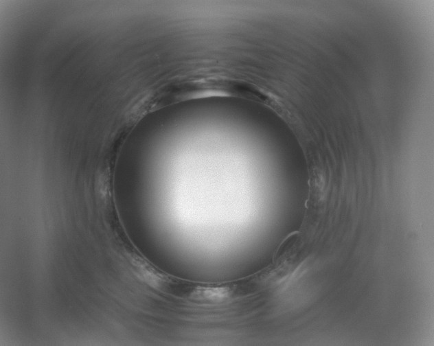 X0000054450665200508121912