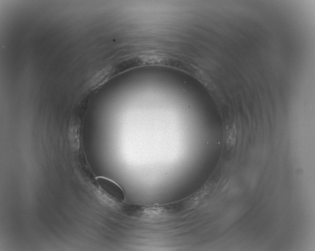 X0000054450666200508121912