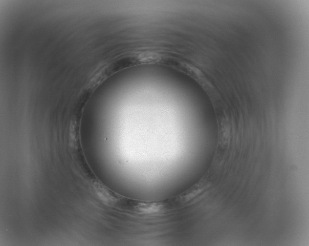 X0000054450667200508121912