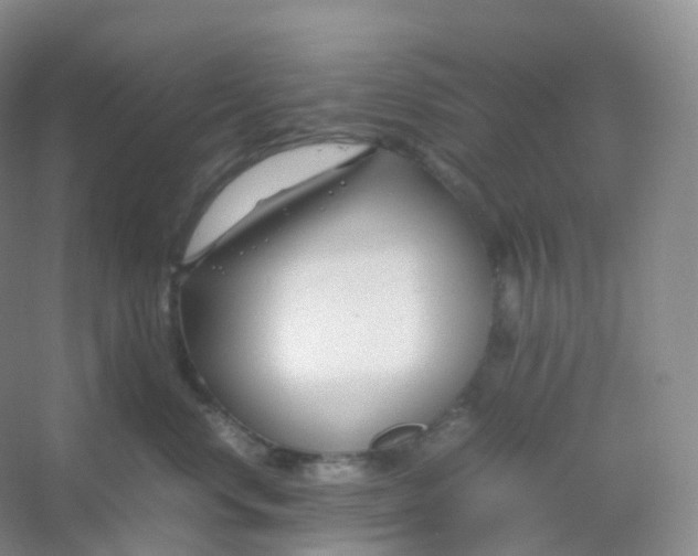 X0000054450668200508121912