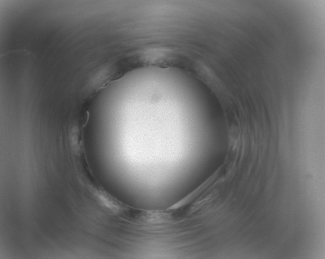 X0000054450670200508121912