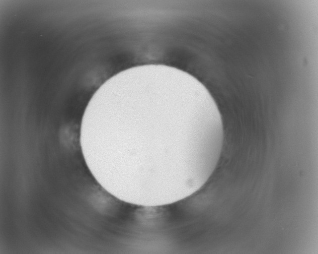 X0000054450672200508121912