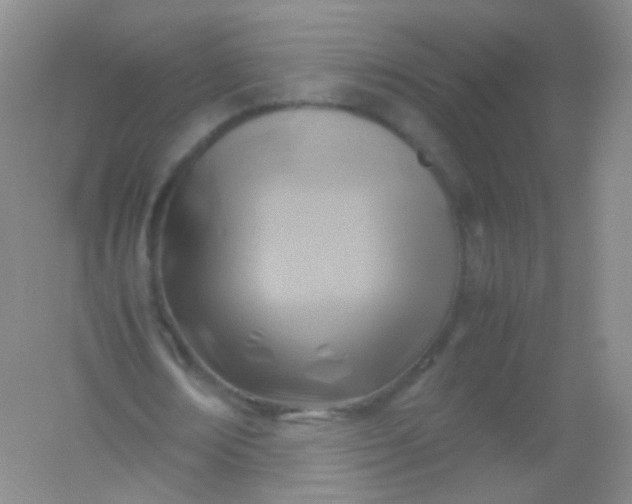 X0000054450674200508121911