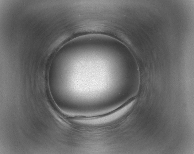 X0000054450677200508121911