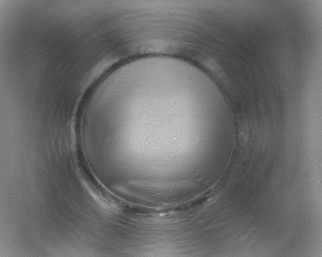 X0000054450678200508121911