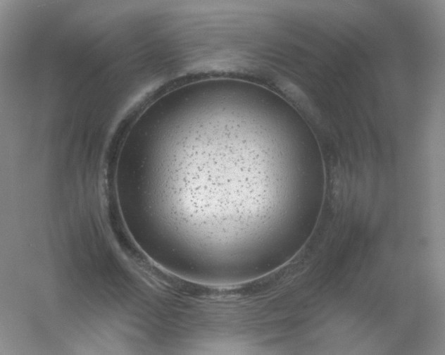 X0000054450680200508121911
