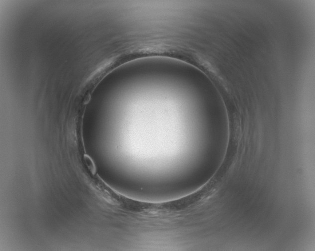X0000054450681200508121911