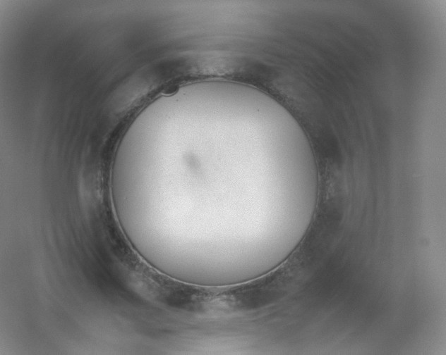 X0000054450683200508121911