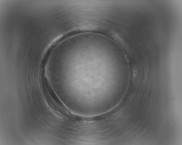 X0000054450684200508121911