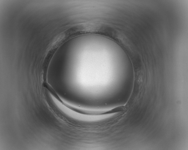 X0000054450685200508121911