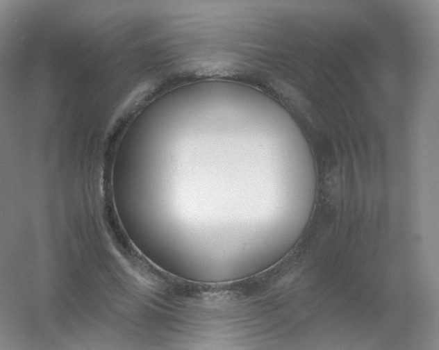 X0000054450686200508121911