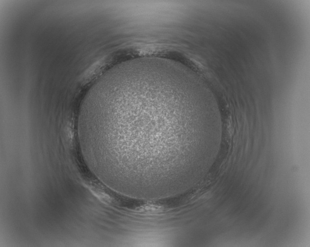 X0000054450691200508121911