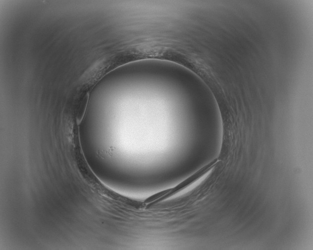 X0000054450693200508121911