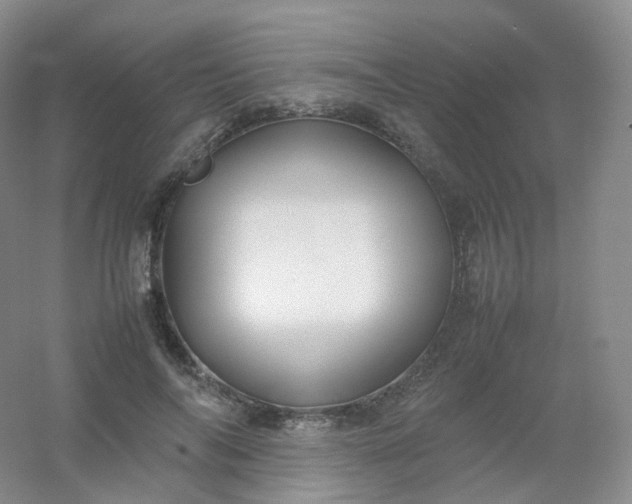 X0000054450694200508121911