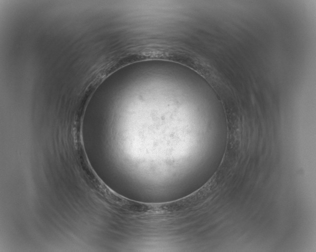 X0000054450696200508121911