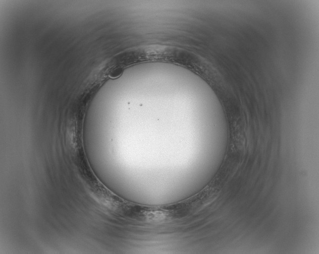 X0000054450698200508121911