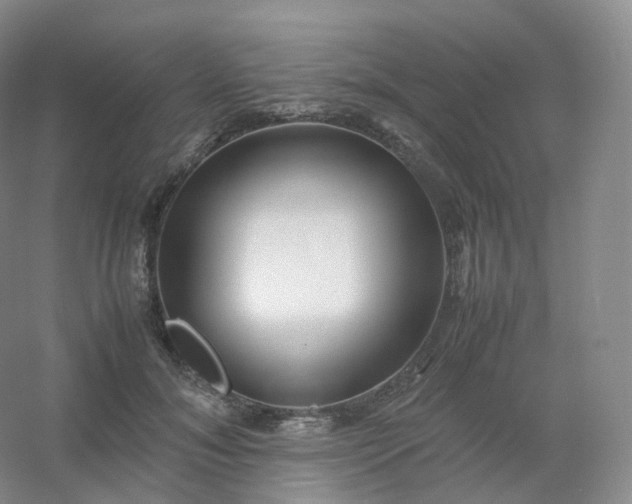 X0000054450700200508121911