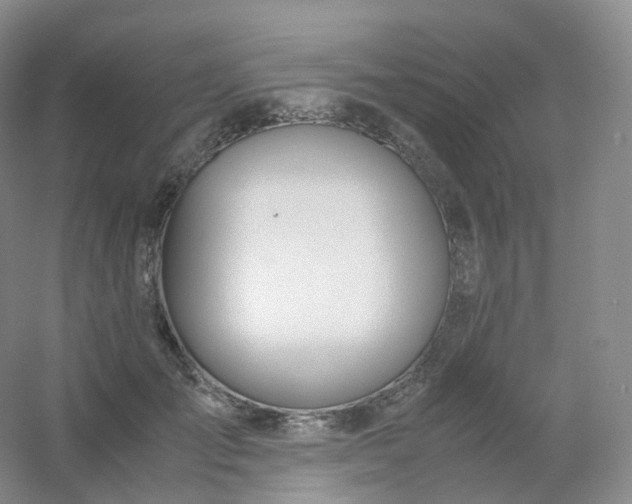 X0000054450701200508121911